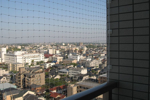 img-006